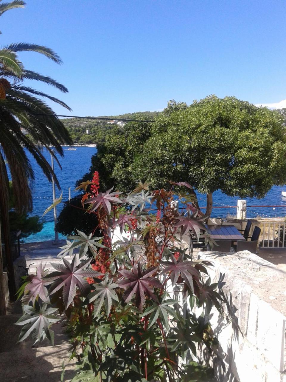 Apartman Radosic Hvar Town Kültér fotó